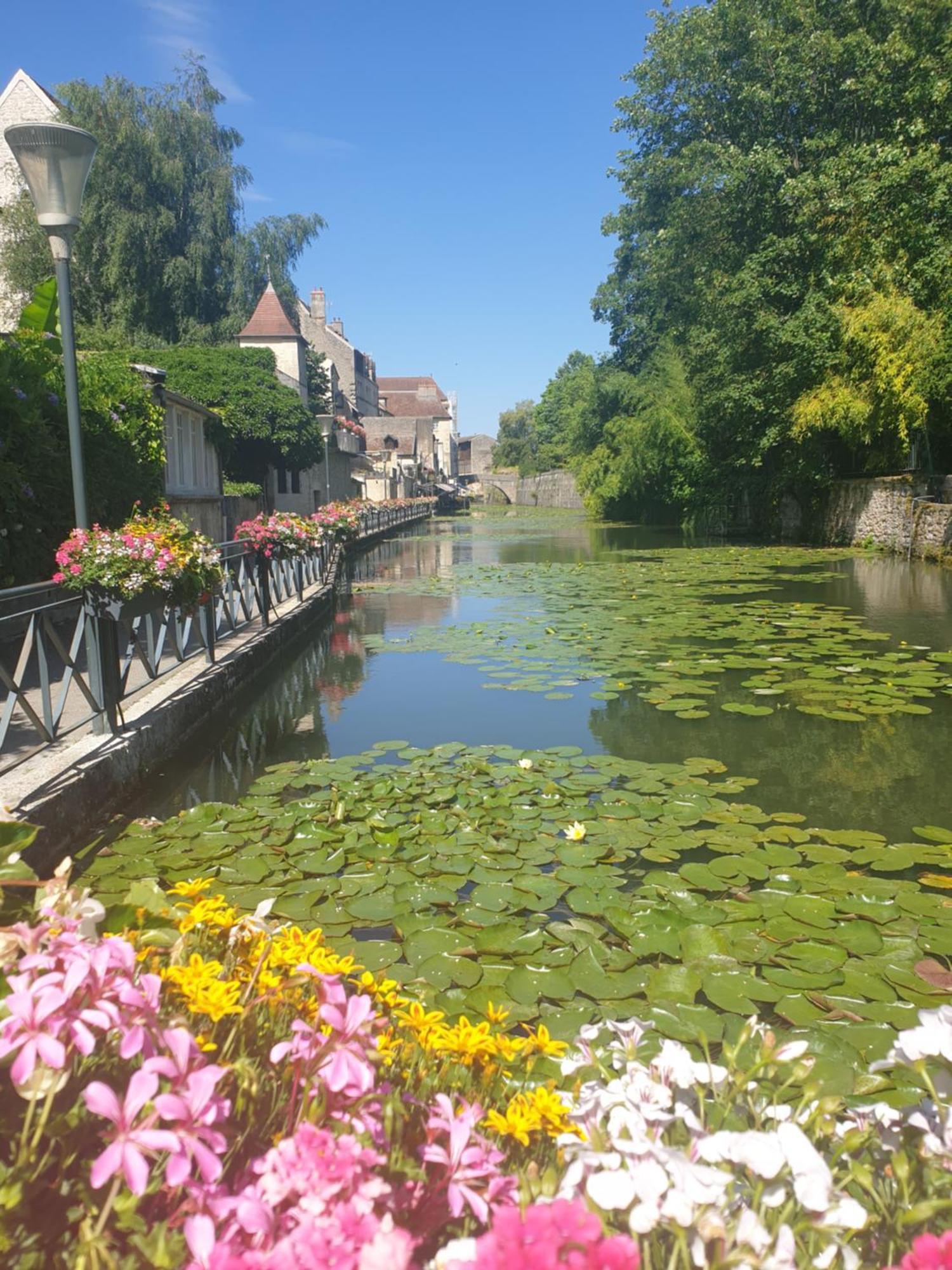 Le Matin Calme - Charme Ancien - Vue Canal Apartment Dole Bagian luar foto